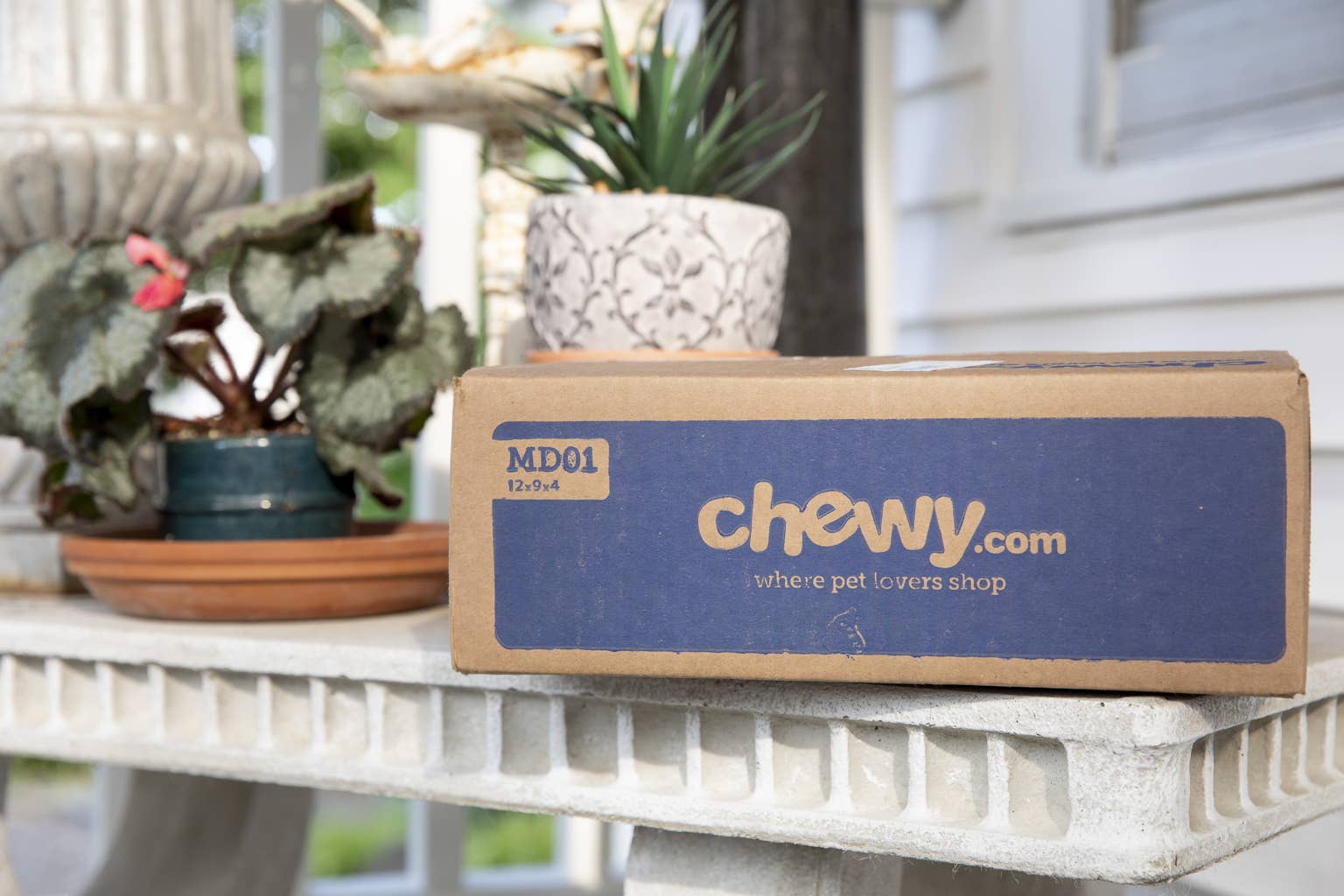 Chewy’s adorable coffee cup cat bed is a cozy retreat for your feline friend