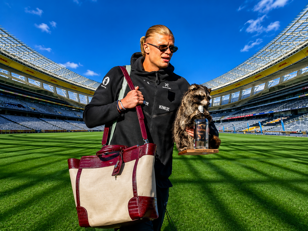 'I thought this was AI': Erling Haaland returns home with a taxidermied ...