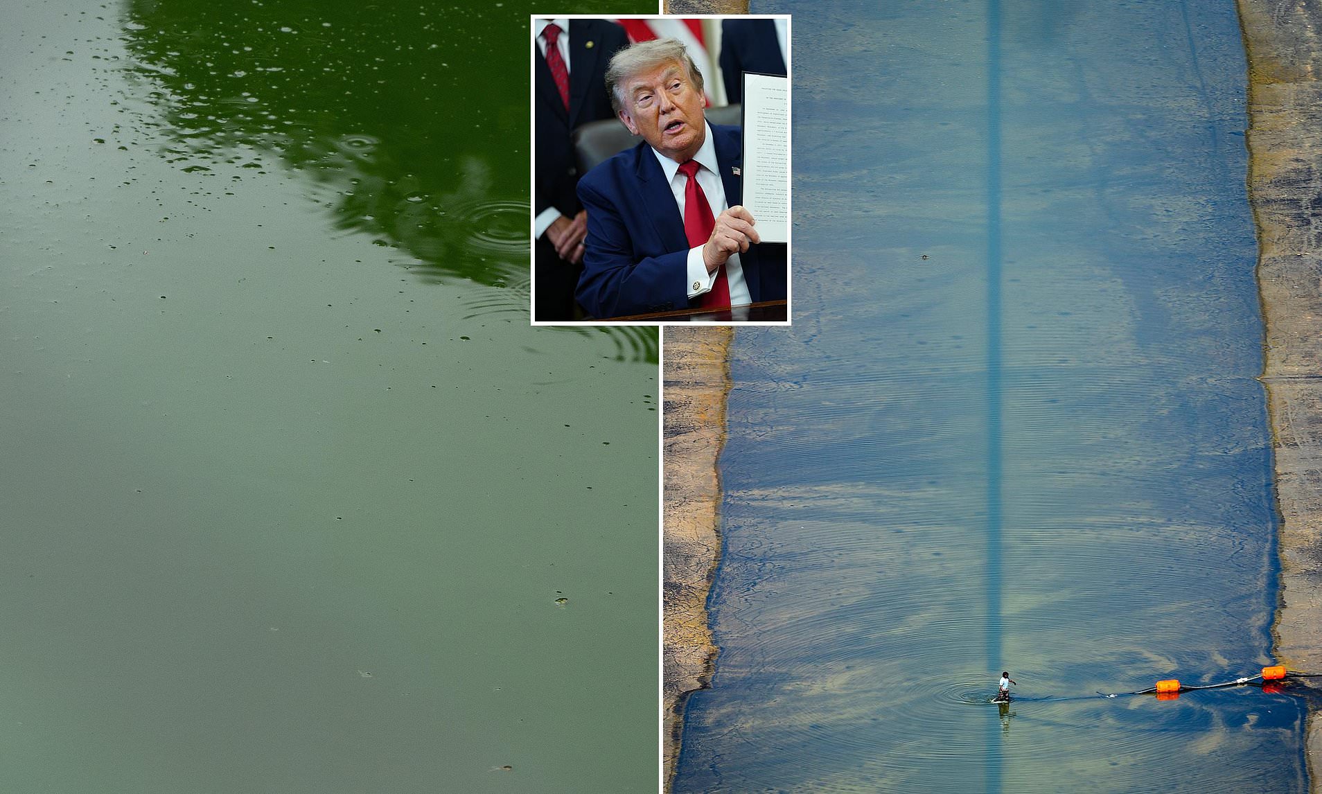 Trump drains Reflecting Pool and vows 'country hating sleazebags' will pay the price