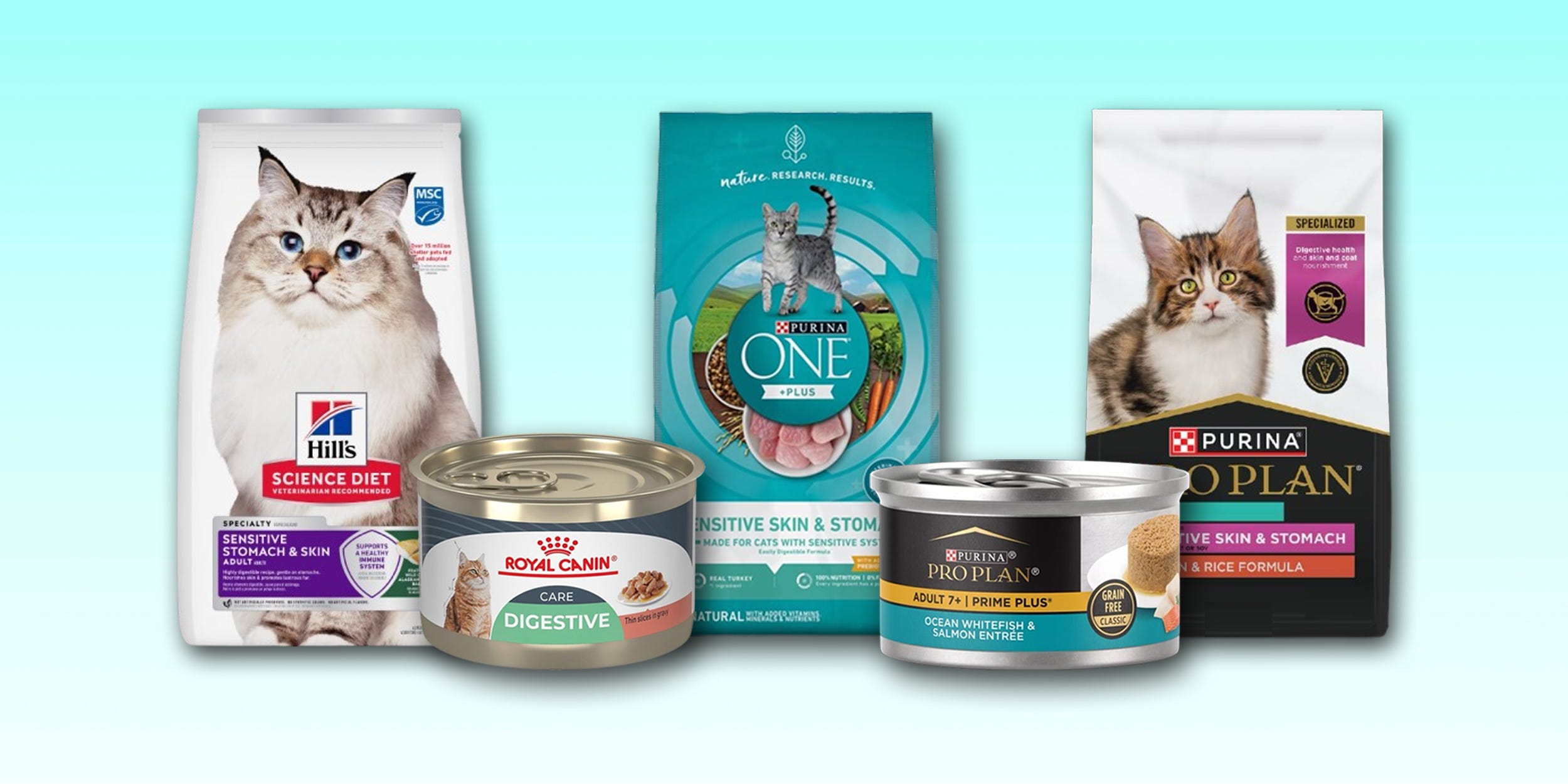 A selection of dry and wet sensitive stomach cat foods from Hill's Science Diet, Royal Canin, Purina One, and Purina Pro Plan displayed against a light blue background.
