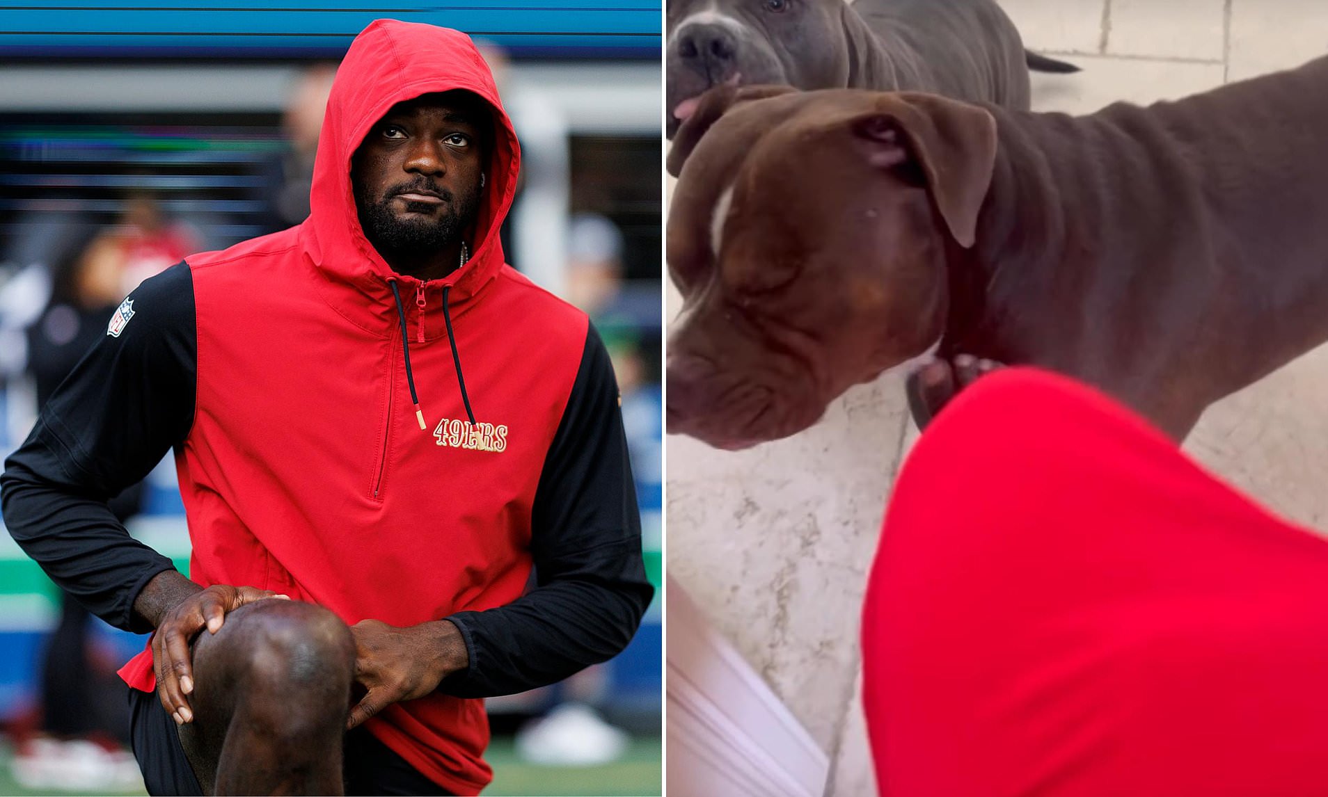 Troubled NFL star sparks backlash after appearing to kick dog in controversial video