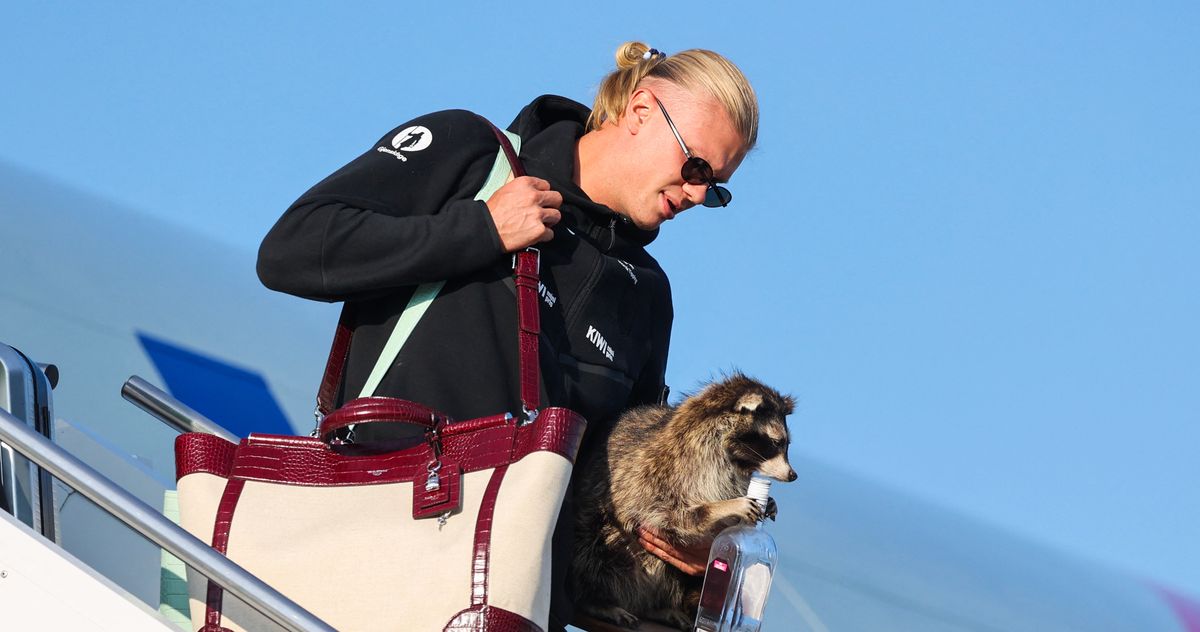 Erling Haaland Got a New Fluffy Friend