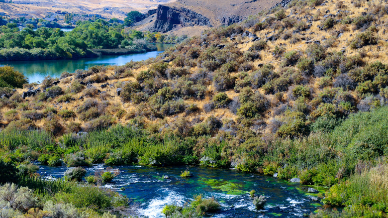 Box Canyon and the Snake River in southern Idaho.