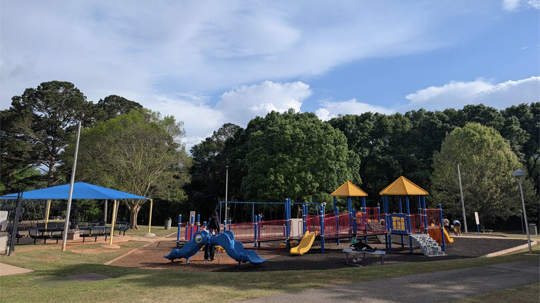 A playground surrounded by trees on a cloudy day in Johnny Henderson Park in Enterprise, AL