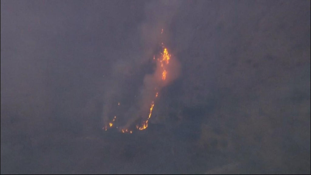 Zebra Fire burns brush in the Angeles National Forest near Azusa