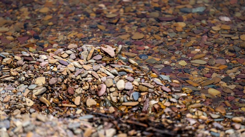 Hidden In Montana's Mountains Is A Less Crowded Shoreline With Incredibly Vibrant Rocks Like Lake McDonald