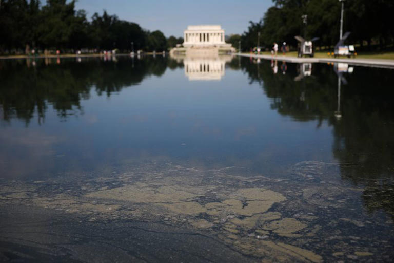 Trump's new '900-foot gash' claim exposed by new photos of drained ...