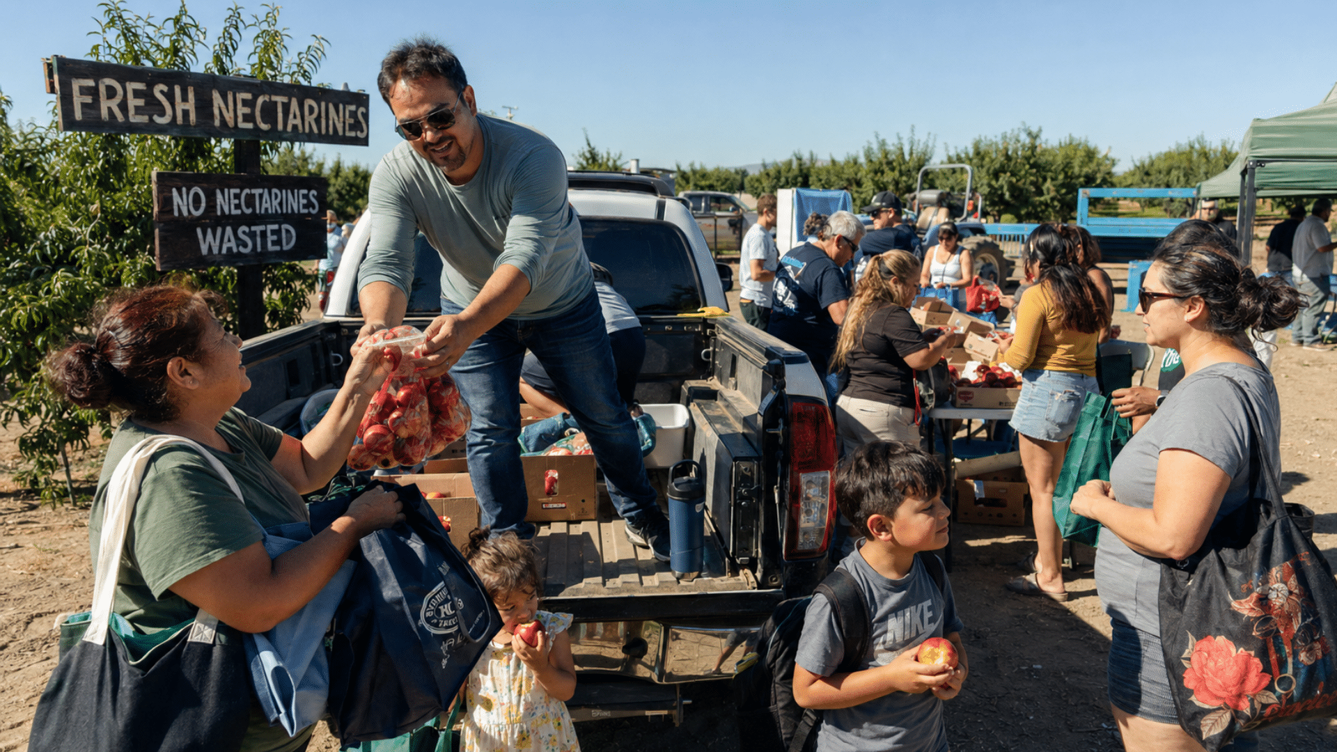 California Farmer Gives Away 125,000 Lbs of Fruit After Marketer Blocks Sales