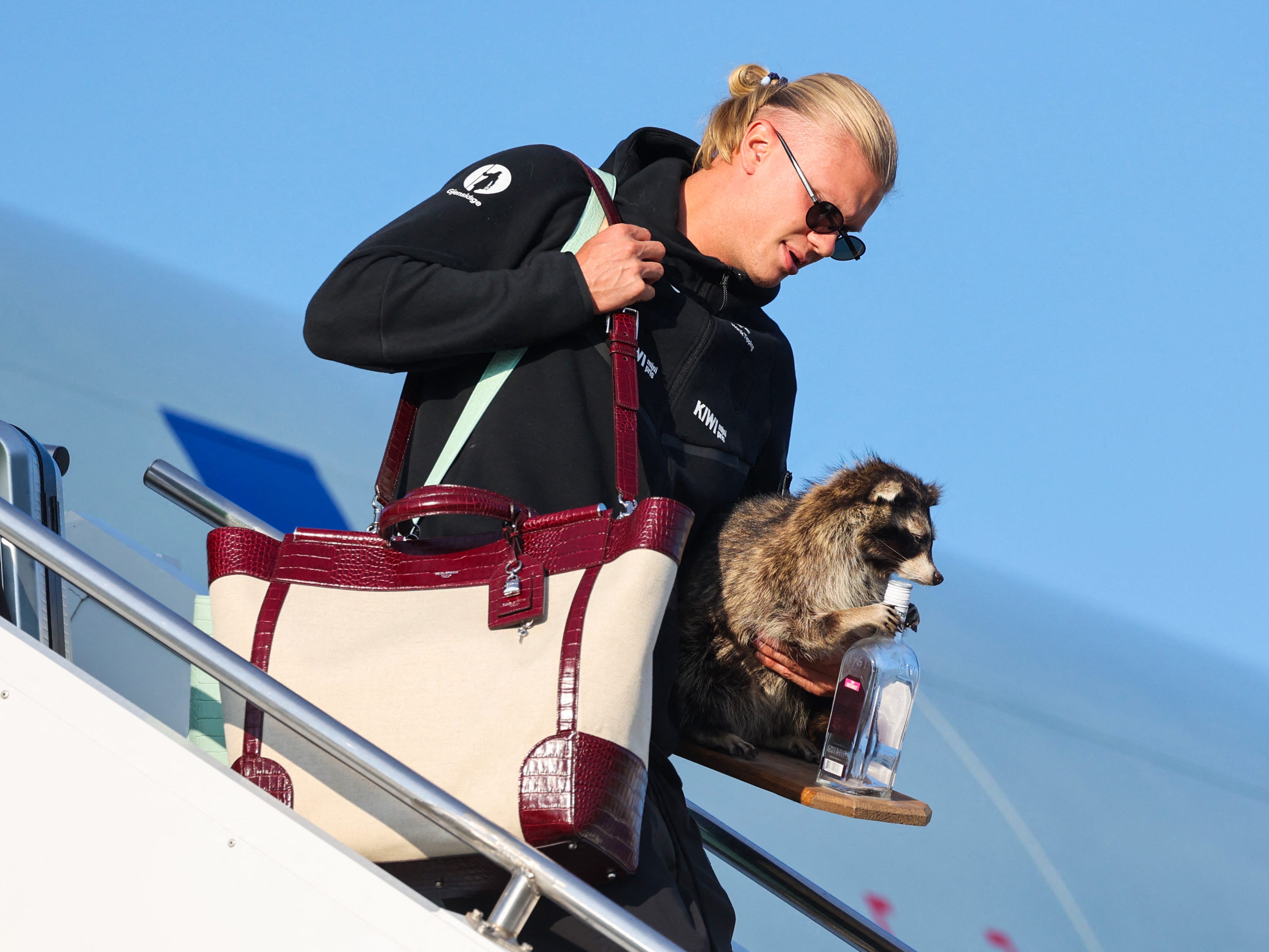 Norway's Erling Haaland brought a $750 taxidermy raccoon home from the ...