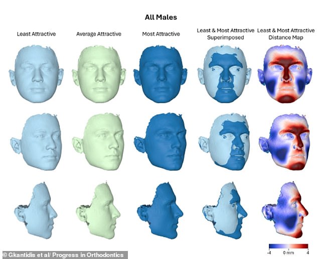 The most attractive men, according to the study, were more likely to have prominent chins and angular profiles