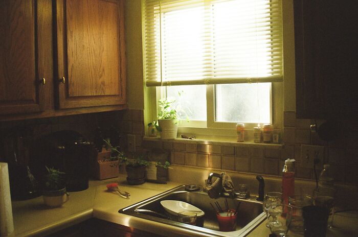 49 People Who Immediately Regretted Accepting An Invitation To Someone’s House