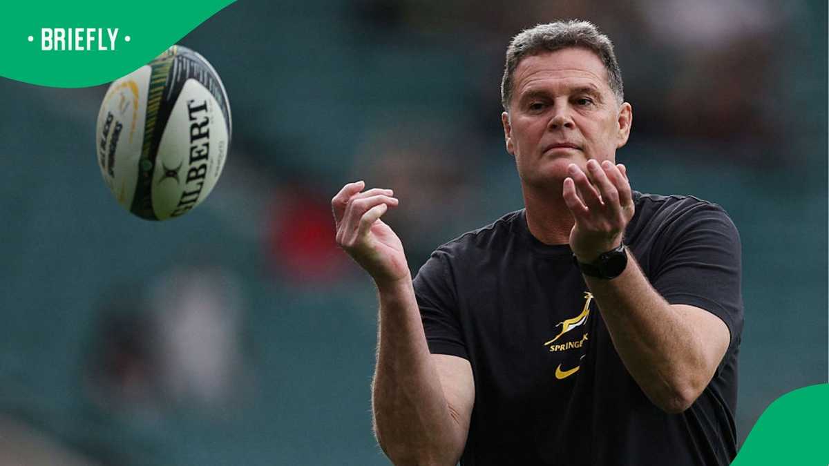 Rassie Erasmus questions World Rugby’s new referee rules over ...