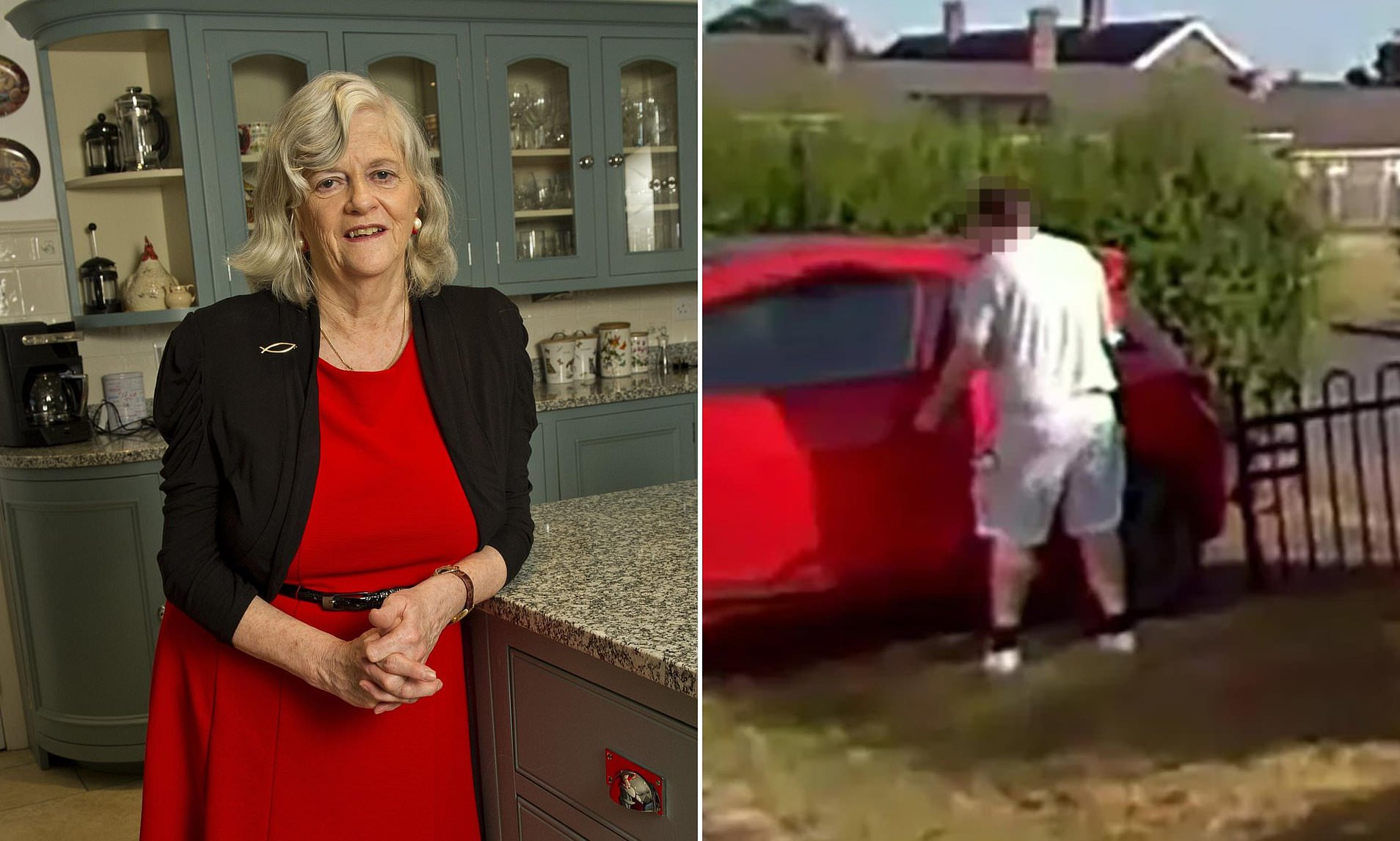 Ann Widdecombe backed Nigel Farage in pre-recorded interview just 20 minutes before she died