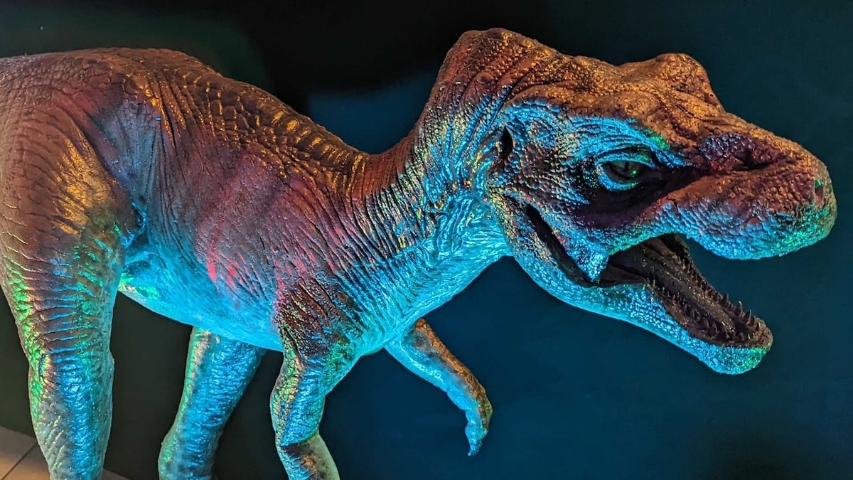 Neglected Museum Fossils Turn Out to Be The First T. Rex Hatchlings Ever Found