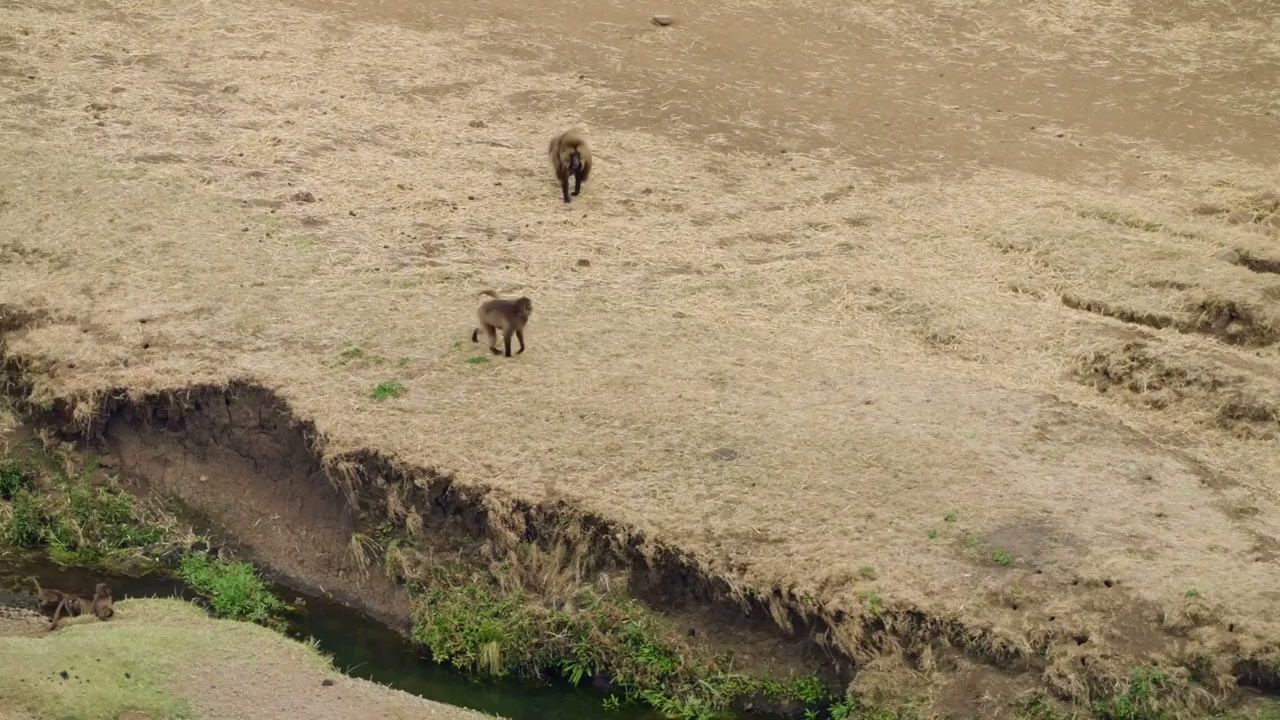 Simien Mountains, Ethiopia: Drone glides over highland cliffs