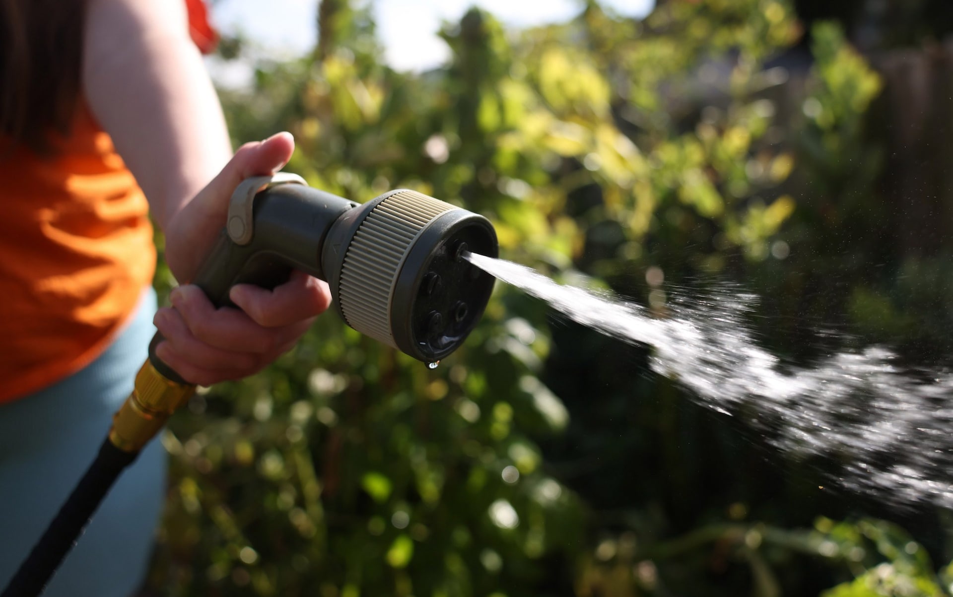 A hosepipe is used in a garden in London