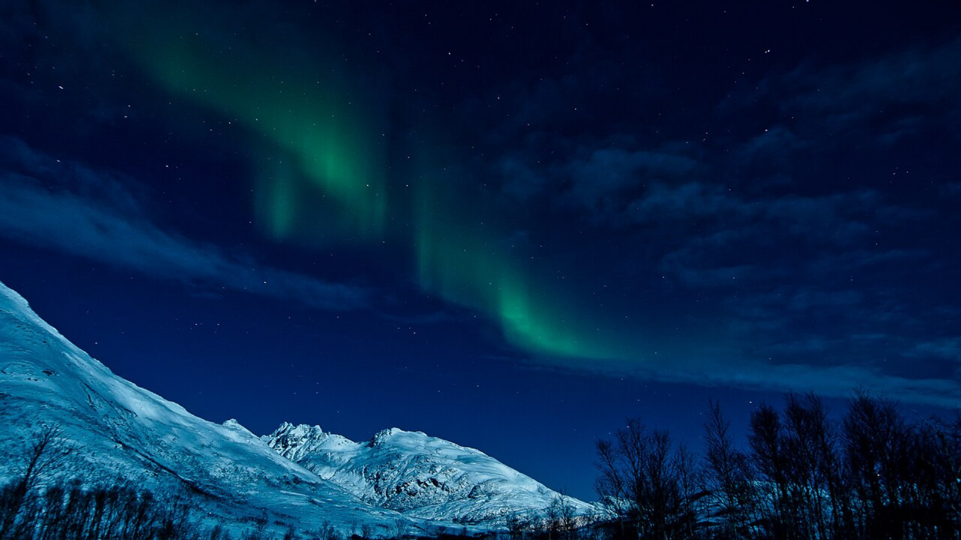 tromso northern lights
