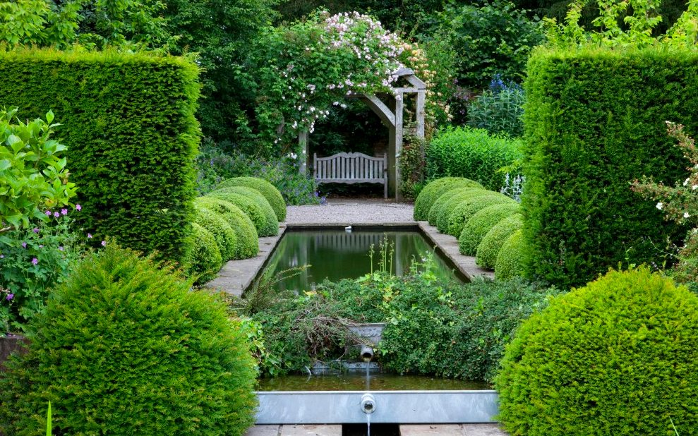 Clipped yew balls and hedge