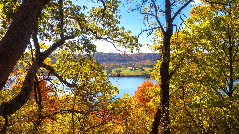 Nestled in Cincinnati is Ohio's hilly nature preserve with wildlife, scenic river views, and trails
