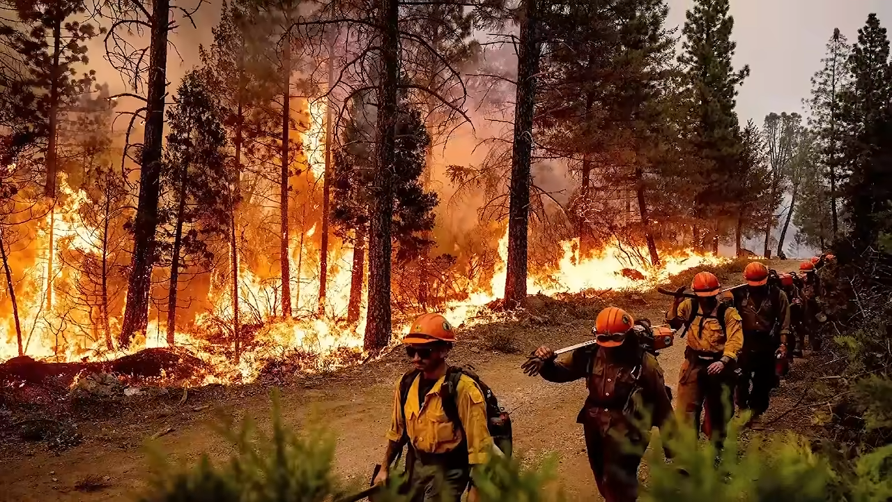 Scientists warn a dangerous new environmental threat is spreading ...