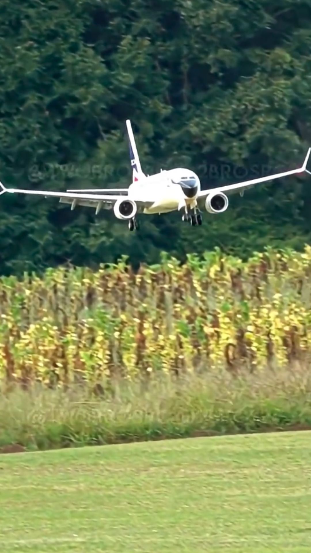 Delta 737 MAX RC plane performs a realistic touch and go landing