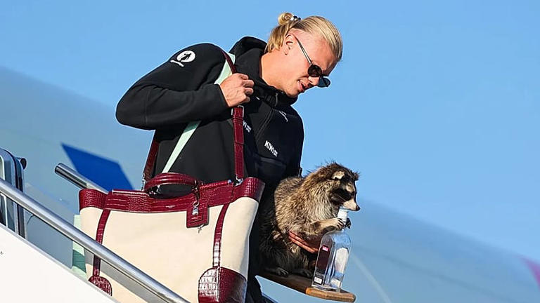 Hundreds of Peruvians name child 'Haaland' as World Cup reaches ...