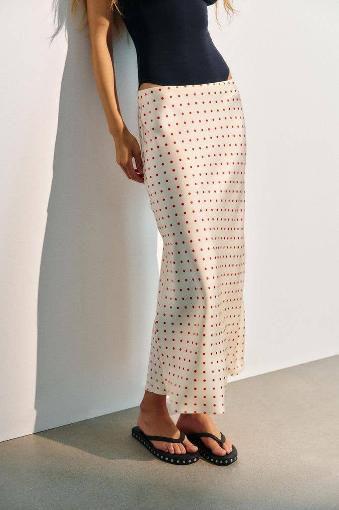 Zara Polka Dot Skirt