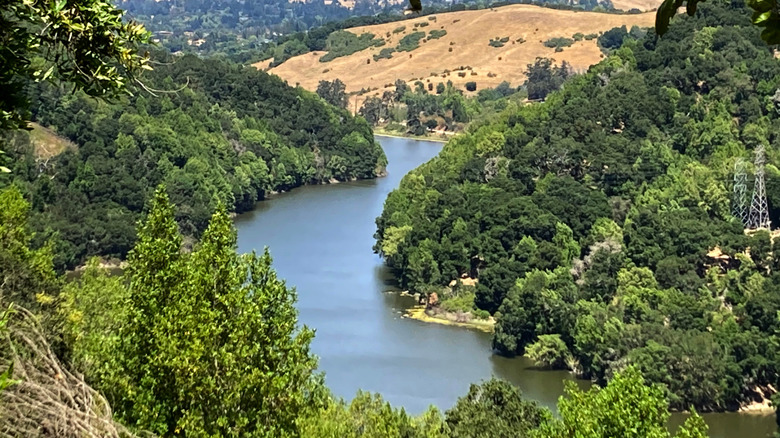 A Hidden Town In Northern California Is A More Affordable Way To Retire Among Redwood Trees And Hills