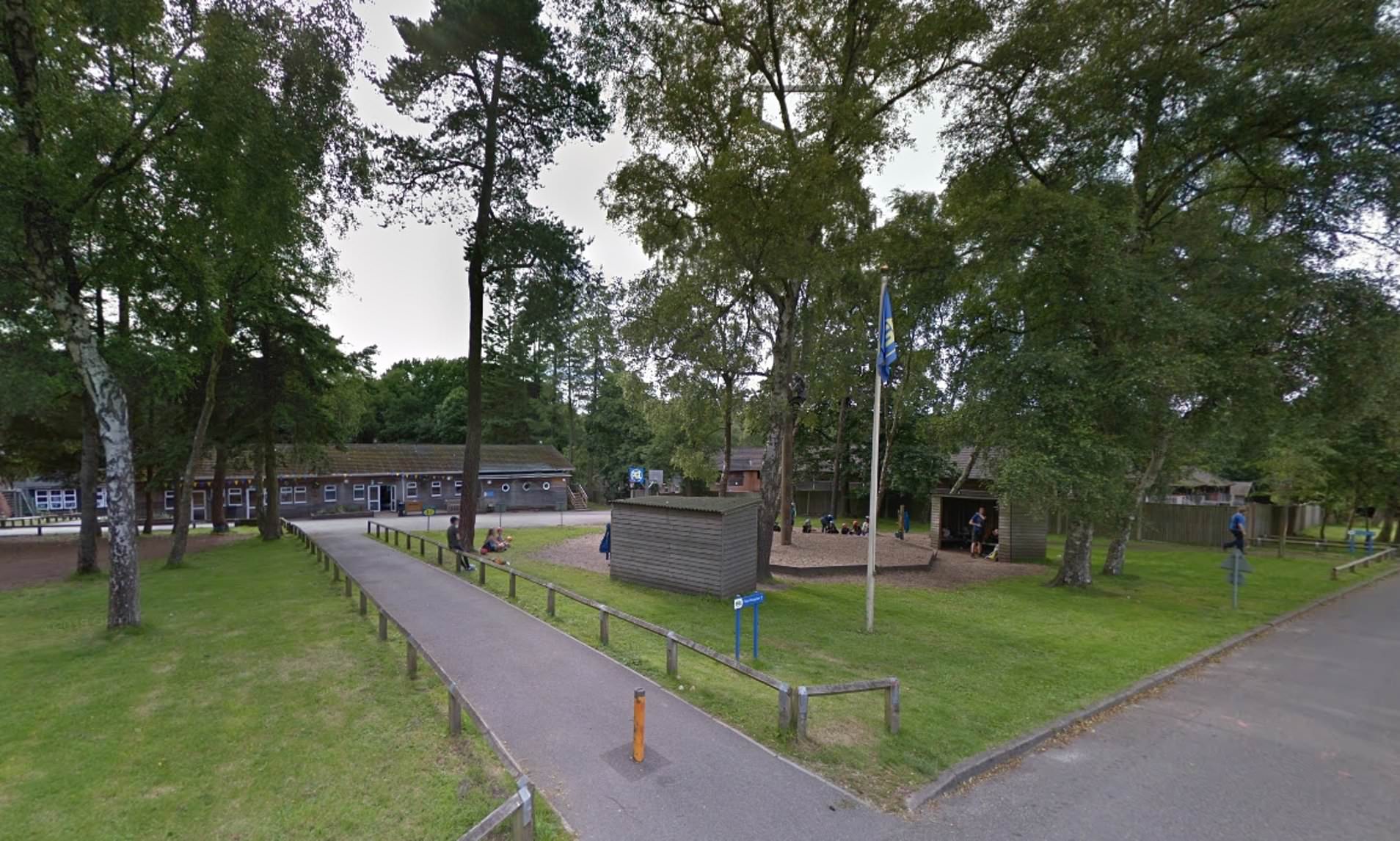 Multiple children left injured after tree falls at outdoor activity centre