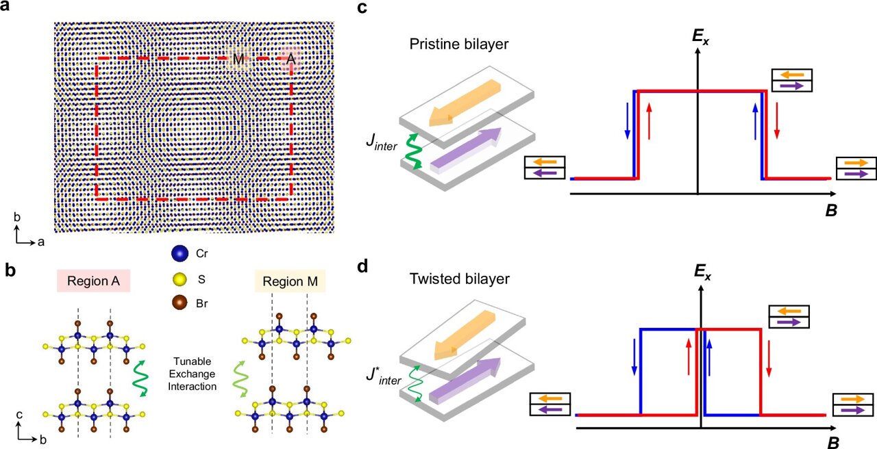 Twisted ultrathin magnet retains magnetization after field changes, study finds