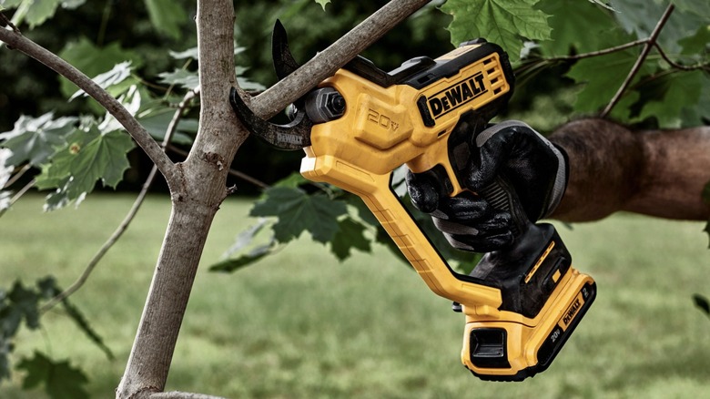 DeWalt's 20V Pruning Shears: What Size Branches Can It Cut Through?