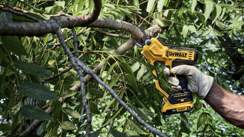 DeWalt's 20V Pruning Shears: What Size Branches Can It Cut Through?