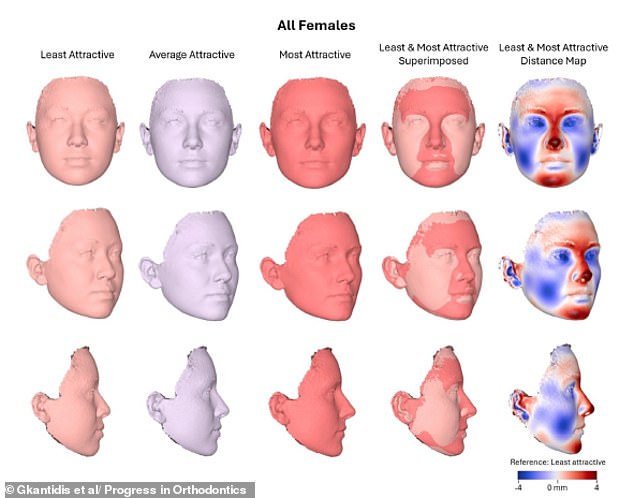 Scientists reveal the most attractive facial features in men and women