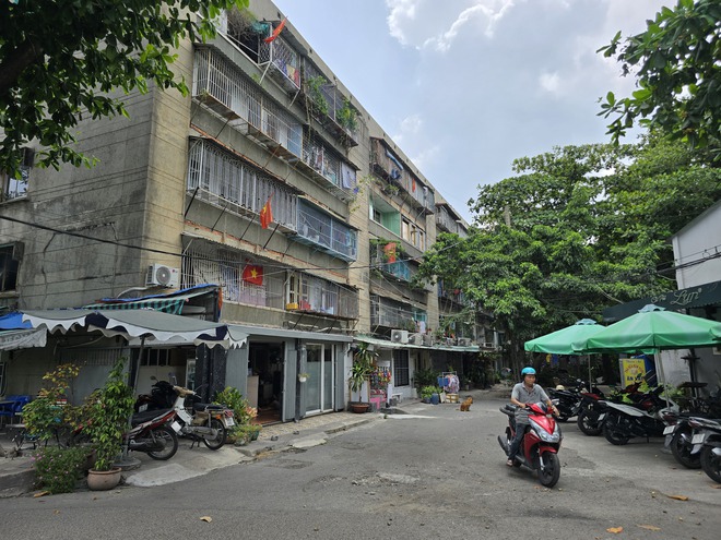 UBND TP.HCM thúc hoàn thành kiểm định chung cư cũ cuối tháng 7-2026
