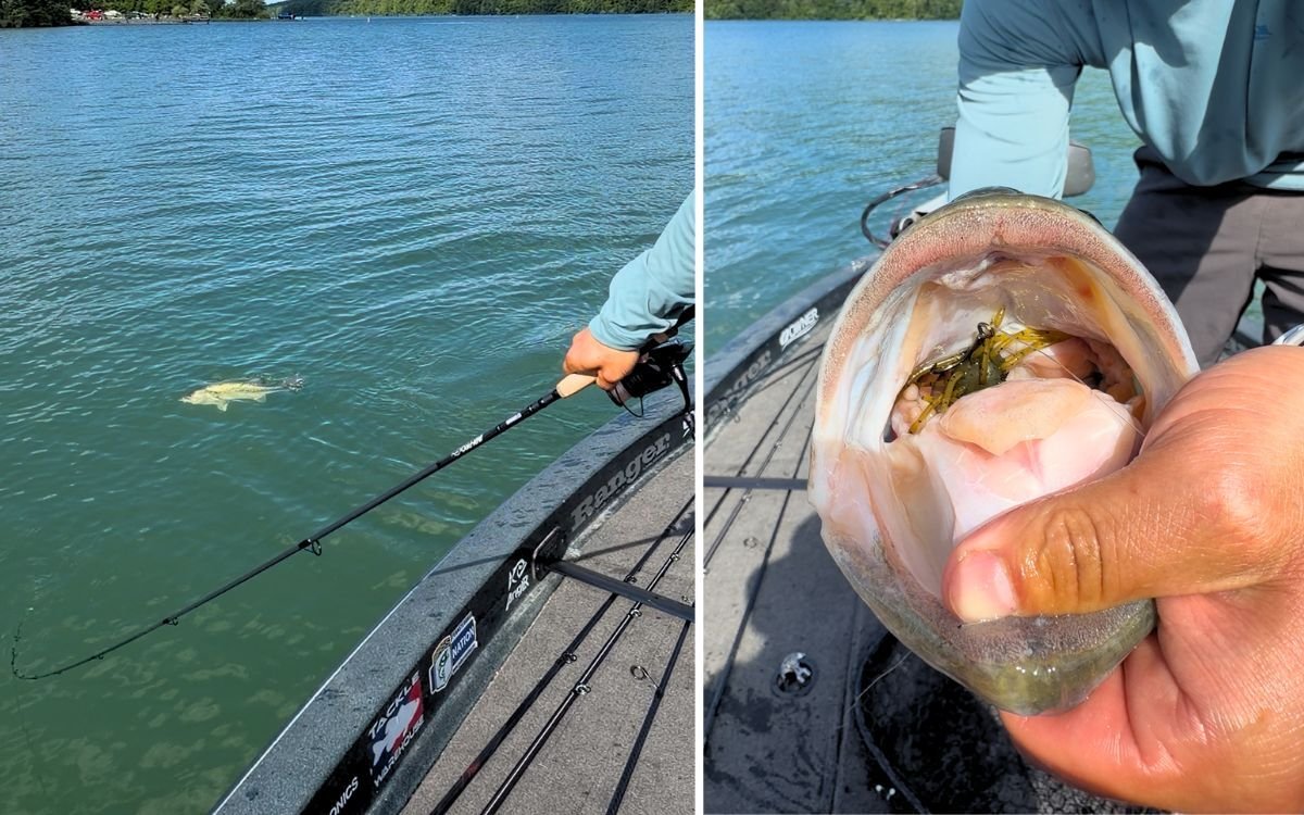 The 12 Best Spinning Rods for Bass of 2026, Tested and Reviewed