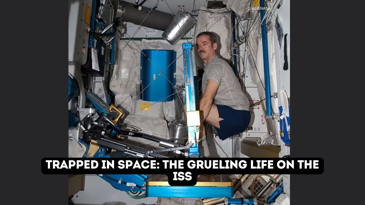 Surviving space: The intense daily routine of ISS astronauts