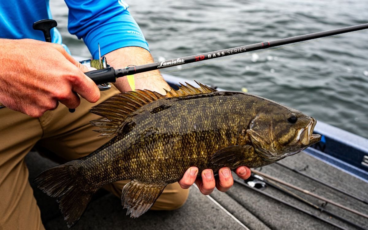 The 12 Best Spinning Rods for Bass of 2026, Tested and Reviewed