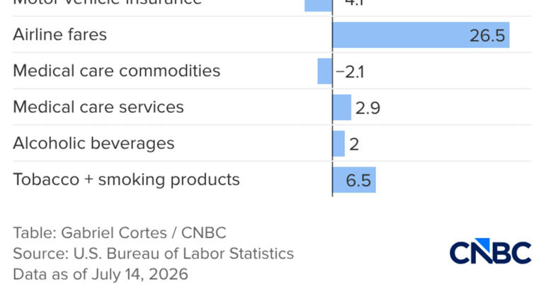 Here’s the inflation breakdown for June 2026 — in one chart