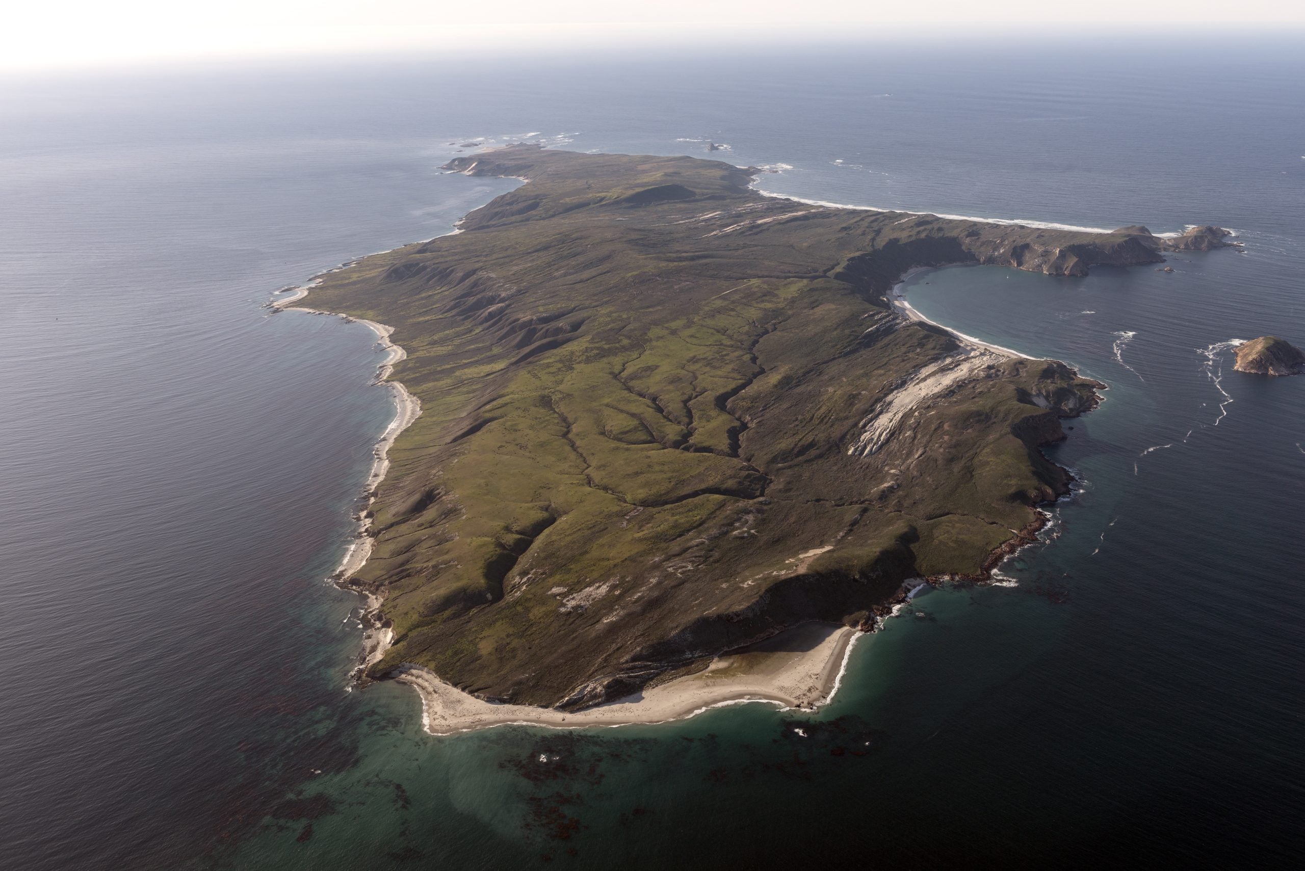 Rewriting history: Ancient 'lost world' could prove how first Americans arrived 13,000 years ago