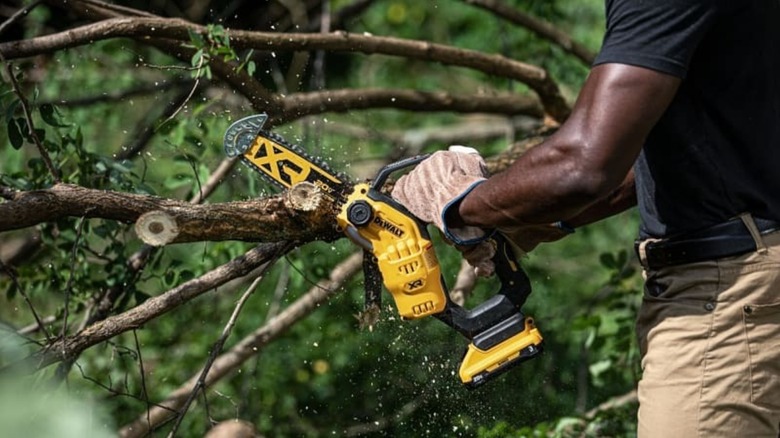 DeWalt's 20V Pruning Shears: What Size Branches Can It Cut Through?