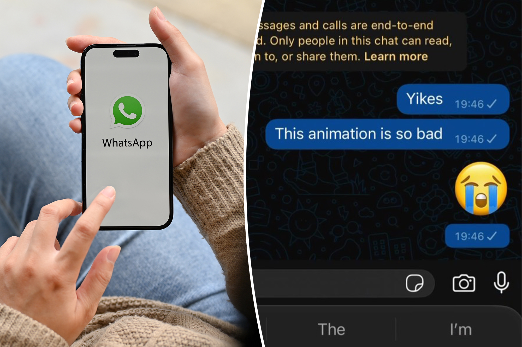 WhatsApp users hate new ‘vertigo'-inducing messaging animation — here's how to disable
