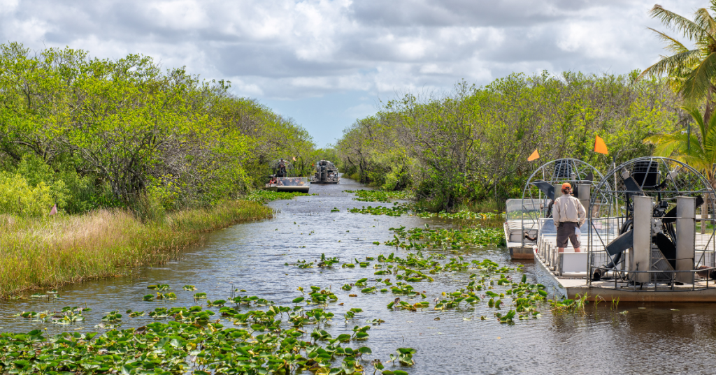 airboats out on the water at Everglades National Park in Florida