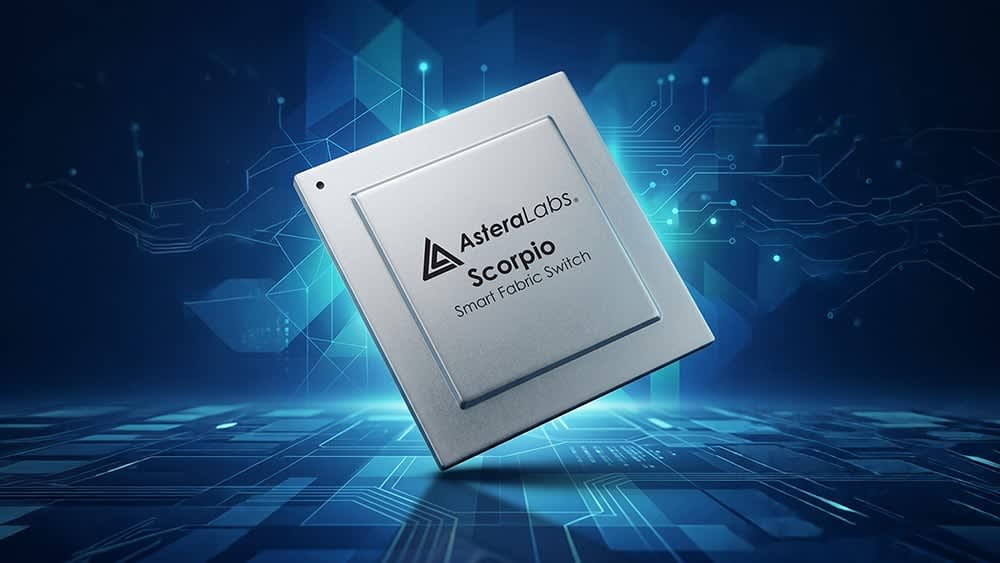These chip stocks are staying strong in a choppy market