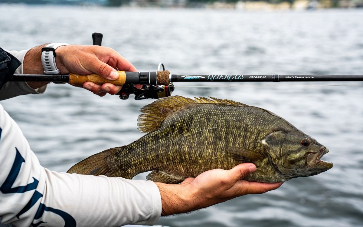 The 12 Best Spinning Rods for Bass of 2026, Tested and Reviewed