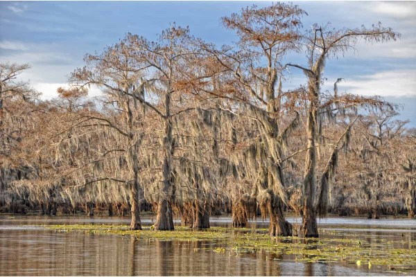 21 Best Things to Do in East Texas (That Most Tourists Skip) 25