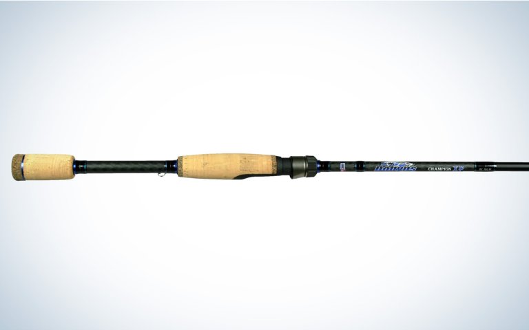 The Dobyns Champion XP is one of the best spinning rods for bass.