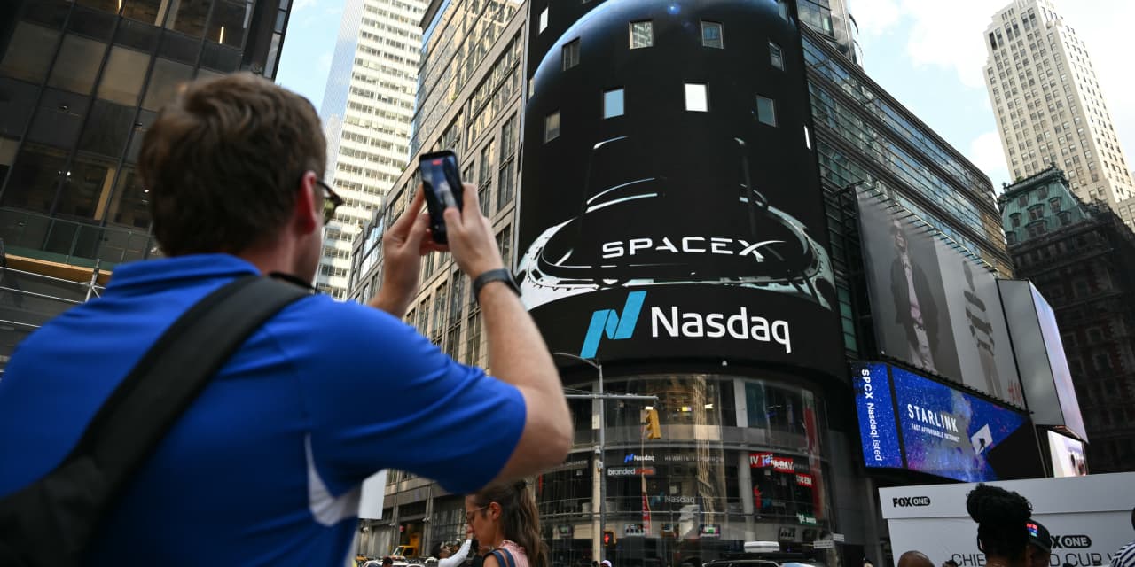 Why SpaceX and Tesla are 'value' stocks, according to this fund manager