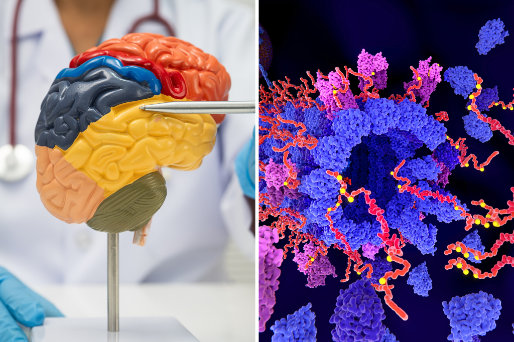 Scientists expected one thing from Alzheimer’s protein—they found another