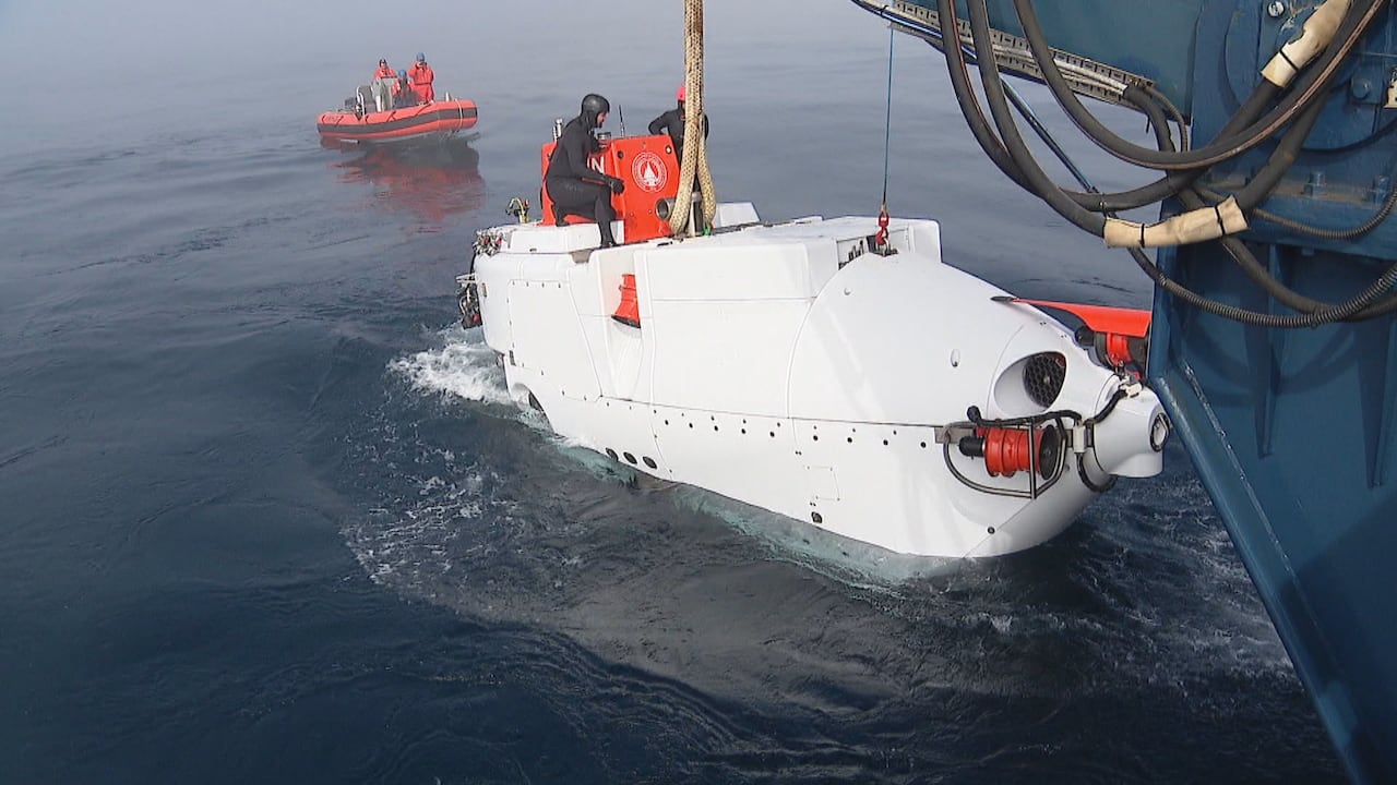 Canadian expedition sheds light on historic shipwreck, capturing ...