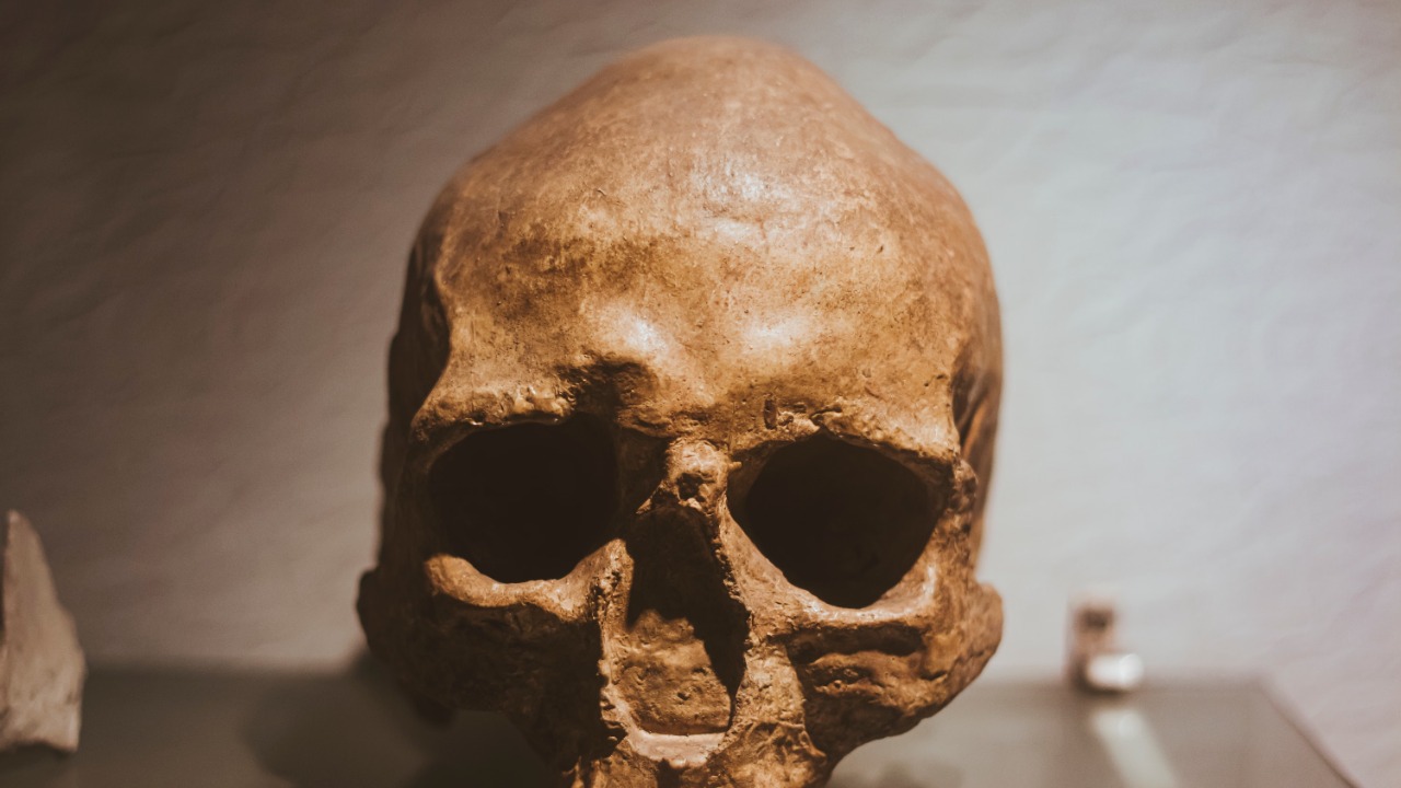Ancient DNA suggests Neanderthals and humans mixed for reasons that had nothing to do with attraction.